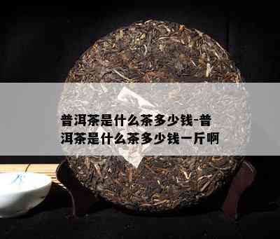 普洱茶是什么茶多少钱-普洱茶是什么茶多少钱一斤啊