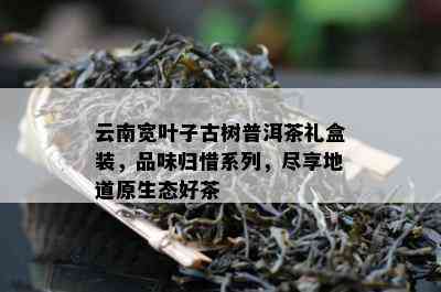 云南宽叶子古树普洱茶礼盒装，品味归惜系列，尽享地道原生态好茶