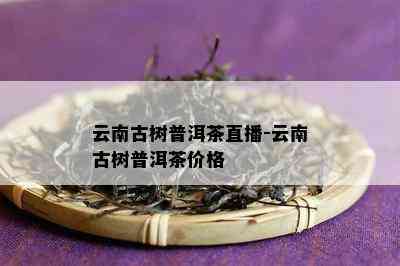 云南古树普洱茶直播-云南古树普洱茶价格