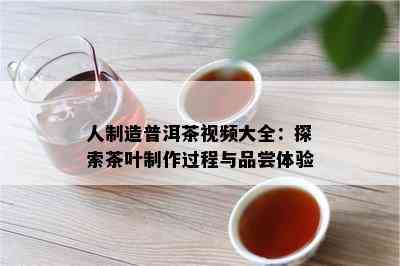 人制造普洱茶视频大全：探索茶叶制作过程与品尝体验