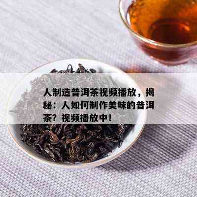 人制造普洱茶视频播放，揭秘：人如何制作美味的普洱茶？视频播放中！