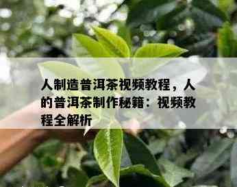 人制造普洱茶视频教程，人的普洱茶制作秘籍：视频教程全解析