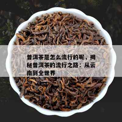 普洱茶是怎么流行的呢，揭秘普洱茶的流行之路：从云南到全世界