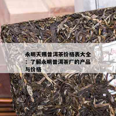 永明天赐普洱茶价格表大全：了解永明普洱茶厂的产品与价格