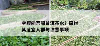 空腹能否喝普洱茶水？探讨其适宜人群与注意事项