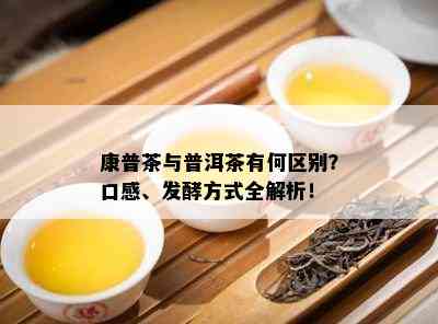 康普茶与普洱茶有何区别？口感、发酵方式全解析！