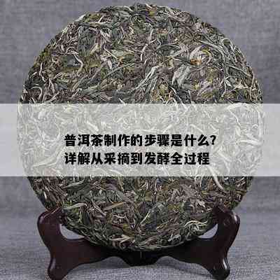 普洱茶制作的步骤是什么？详解从采摘到发酵全过程