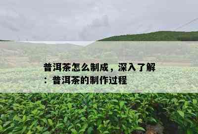 普洱茶怎么制成，深入了解：普洱茶的制作过程