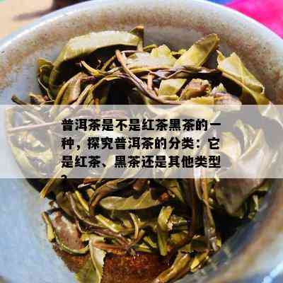 普洱茶是不是红茶黑茶的一种，探究普洱茶的分类：它是红茶、黑茶还是其他类型？