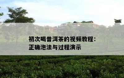 初次喝普洱茶的视频教程：正确泡法与过程演示