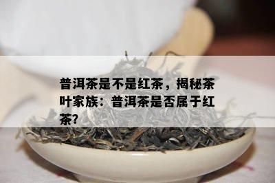 普洱茶是不是红茶，揭秘茶叶家族：普洱茶是否属于红茶？