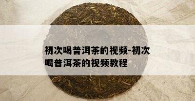 初次喝普洱茶的视频-初次喝普洱茶的视频教程