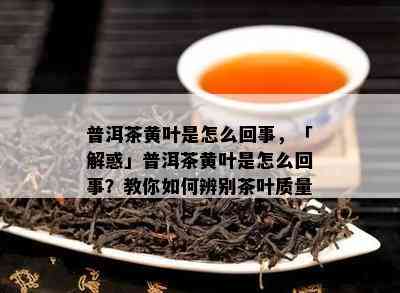 普洱茶黄叶是怎么回事，「解惑」普洱茶黄叶是怎么回事？教你如何辨别茶叶质量