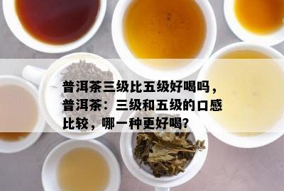 普洱茶三级比五级好喝吗，普洱茶：三级和五级的口感比较，哪一种更好喝？