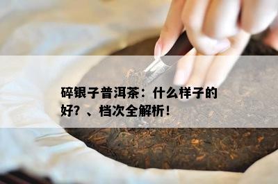 碎银子普洱茶：什么样子的好？、档次全解析！