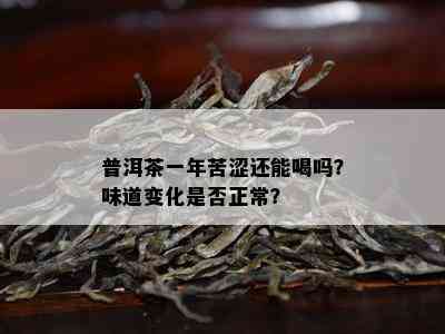 普洱茶一年苦涩还能喝吗？味道变化是否正常？