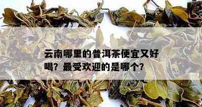 云南哪里的普洱茶便宜又好喝？更受欢迎的是哪个？