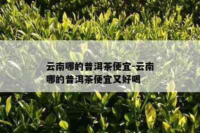 云南哪的普洱茶便宜-云南哪的普洱茶便宜又好喝