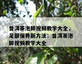 普洱茶泡脚视频教学大全，足部保养新方法：普洱茶泡脚视频教学大全