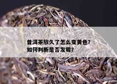 普洱茶放久了怎么变黄色？如何判断是否发霉？