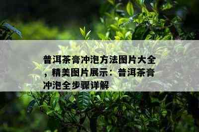 普洱茶膏冲泡方法图片大全，精美图片展示：普洱茶膏冲泡全步骤详解