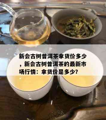 新会古树普洱茶拿货价多少，新会古树普洱茶的最新市场行情：拿货价是多少？