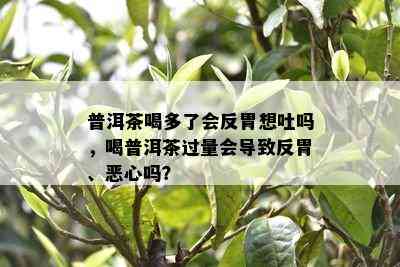 普洱茶喝多了会反胃想吐吗，喝普洱茶过量会导致反胃、恶心吗？