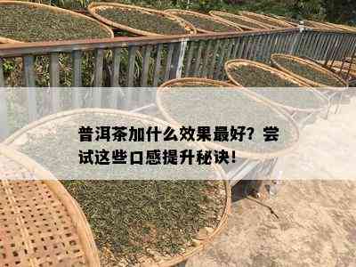 普洱茶加什么效果更好？尝试这些口感提升秘诀！