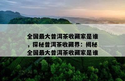 全国更大普洱茶收藏家是谁，探秘普洱茶收藏界：揭秘全国更大普洱茶收藏家是谁