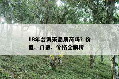 18年普洱茶品质高吗？价值、口感、价格全解析