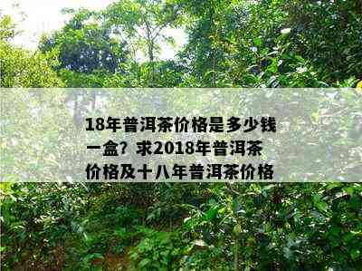 18年普洱茶价格是多少钱一盒？求2018年普洱茶价格及十八年普洱茶价格