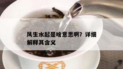 风生水起是啥意思啊？详细解释其含义