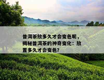 普洱茶放多久才会变色呢，揭秘普洱茶的神奇变化：放置多久才会变色？