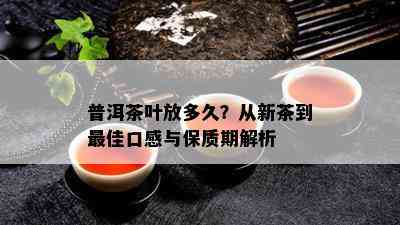 普洱茶叶放多久？从新茶到更佳口感与保质期解析