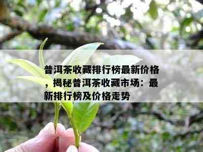 普洱茶收藏排行榜最新价格，揭秘普洱茶收藏市场：最新排行榜及价格走势