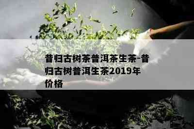 昔归古树茶普洱茶生茶-昔归古树普洱生茶2019年价格