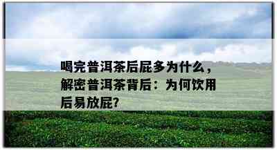 喝完普洱茶后屁多为什么，解密普洱茶背后：为何饮用后易放屁？