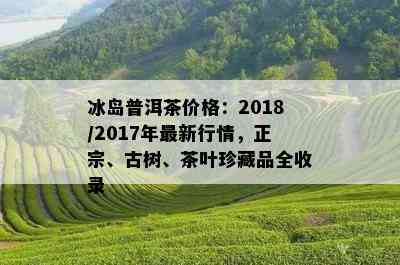 冰岛普洱茶价格：2018/2017年最新行情，正宗、古树、茶叶珍藏品全收录