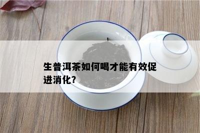 生普洱茶如何喝才能有效促进消化？