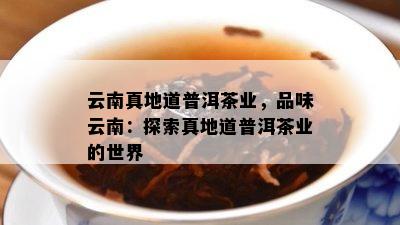 云南真地道普洱茶业，品味云南：探索真地道普洱茶业的世界