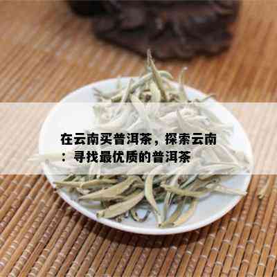 在云南买普洱茶，探索云南：寻找更优质的普洱茶