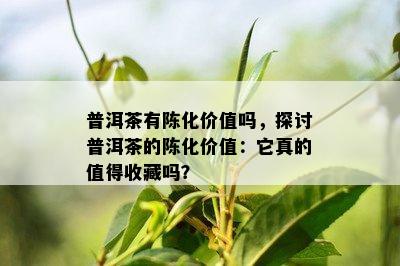 普洱茶有陈化价值吗，探讨普洱茶的陈化价值：它真的值得收藏吗？