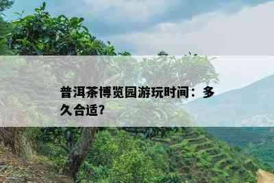 普洱茶博览园游玩时间：多久合适？