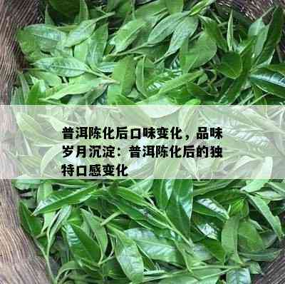 普洱陈化后口味变化，品味岁月沉淀：普洱陈化后的独特口感变化