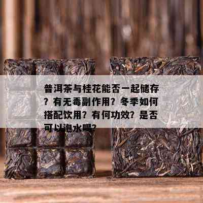 普洱茶与桂花能否一起储存？有无副作用？冬季如何搭配饮用？有何功效？是否可以泡水喝？