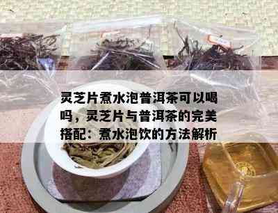 灵芝片煮水泡普洱茶可以喝吗，灵芝片与普洱茶的完美搭配：煮水泡饮的方法解析