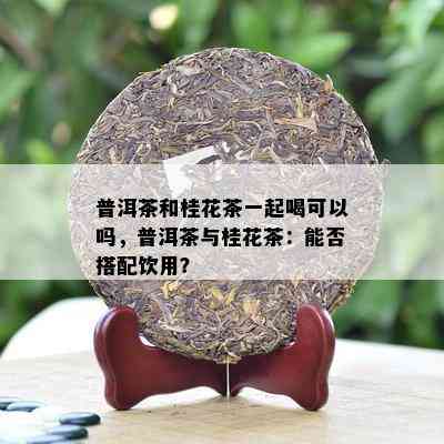 普洱茶和桂花茶一起喝可以吗，普洱茶与桂花茶：能否搭配饮用？