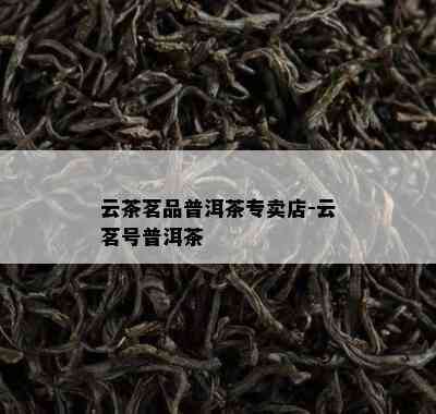 云茶茗品普洱茶专卖店-云茗号普洱茶