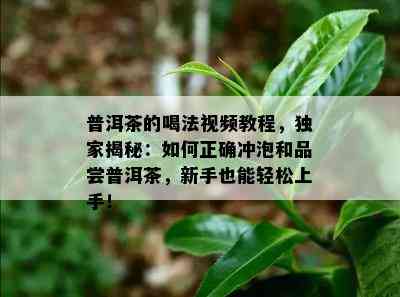 普洱茶的喝法视频教程，独家揭秘：如何正确冲泡和品尝普洱茶，新手也能轻松上手！