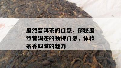 磨烈普洱茶的口感，探秘磨烈普洱茶的独特口感，体验茶香四溢的魅力